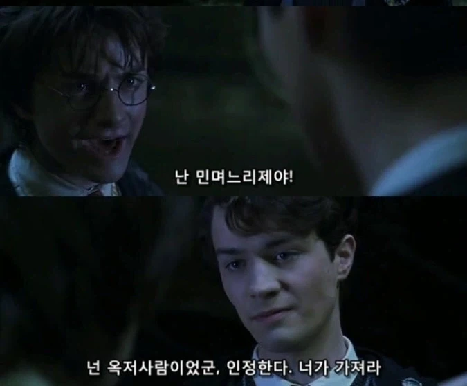 이쯤 다시보는 해리포터 옥저사람