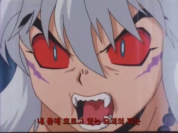 이누야샤 특징.jpg - 이미지 6