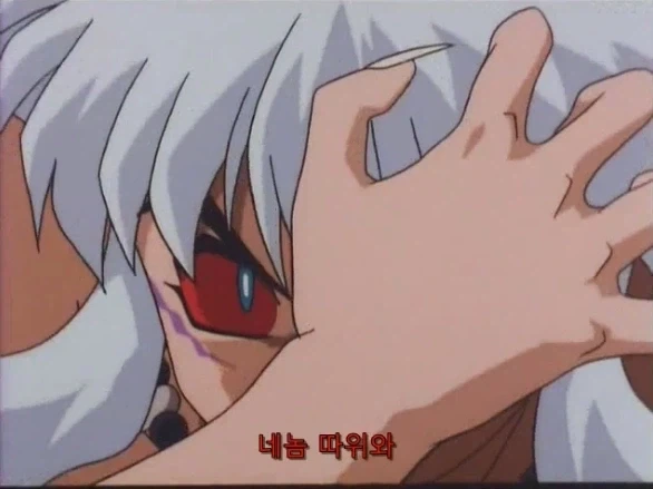 이누야샤 특징.jpg - 이미지 7