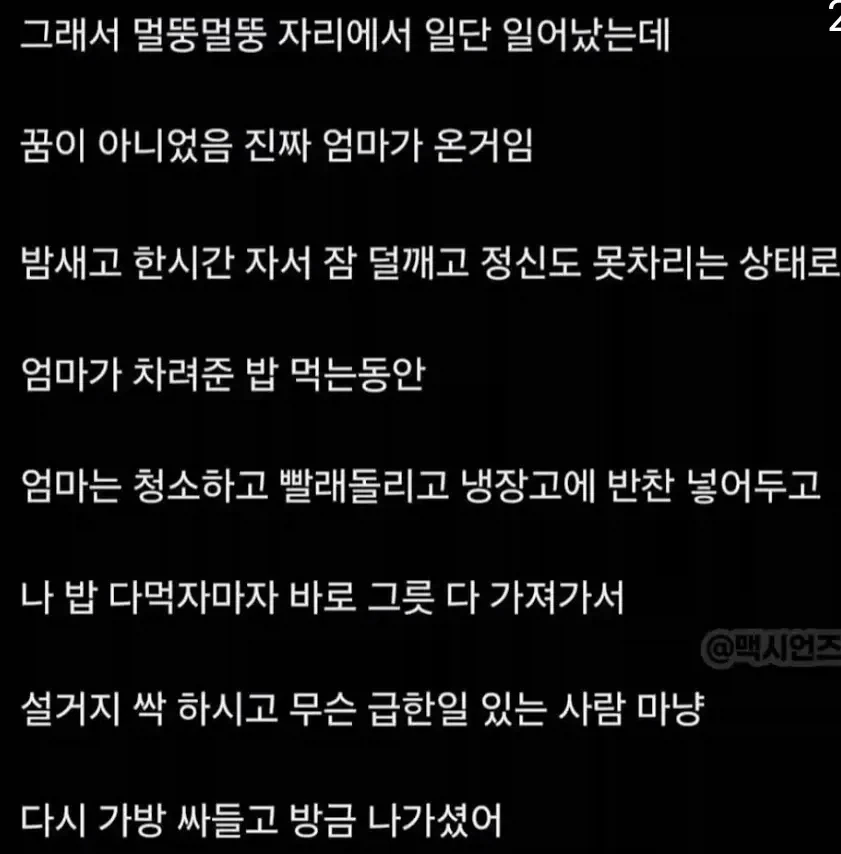엄마가 온 꿈을 꿨다 - 이미지 2