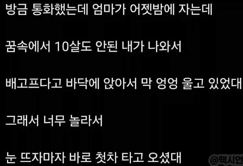 엄마가 온 꿈을 꿨다 - 이미지 3