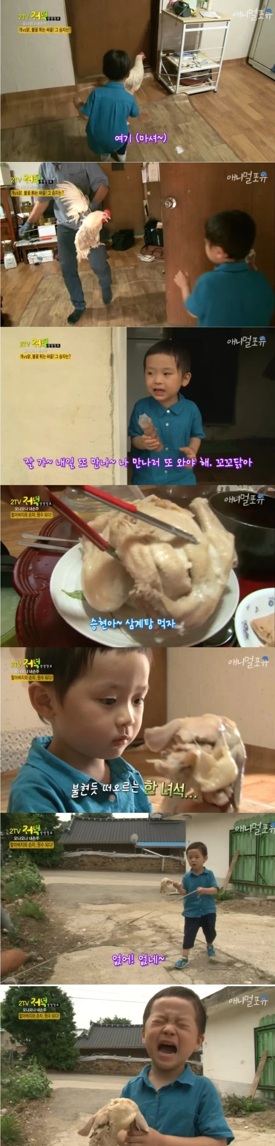 의외로 어린애들 트라우마 입는거.jpg