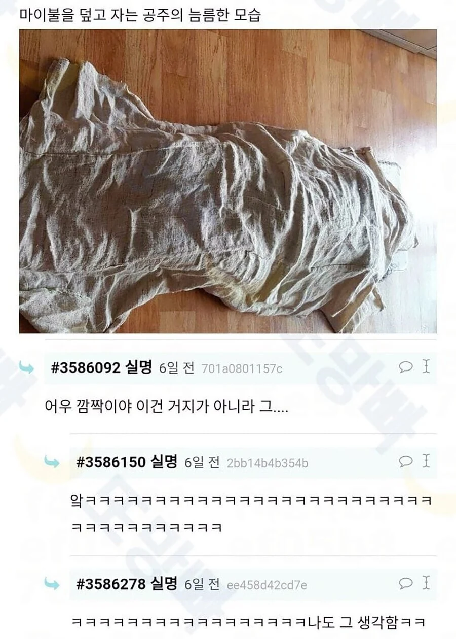 여름에 시원하다는 마 이불.jpg - 이미지 2