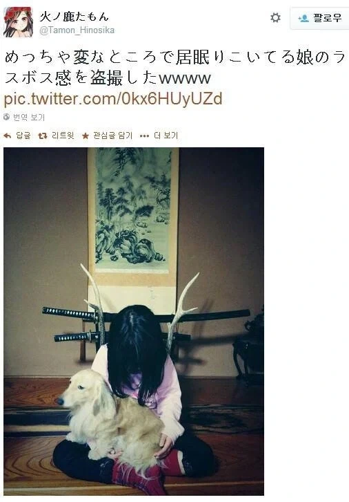 딸이 닌자 가이덴 최종 보스처럼 찍혔음