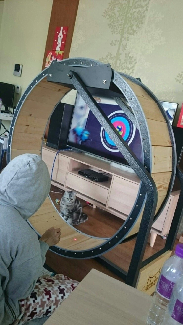 큰맘 먹고 캣휠 산 사람