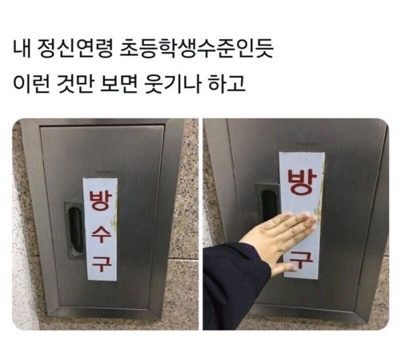 내 정신연령 초등학생 수준인듯