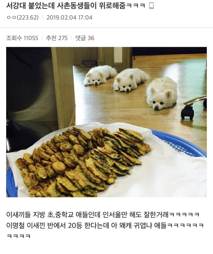 서강대 합격했는데 사촌동생들한테 위로받은 사람