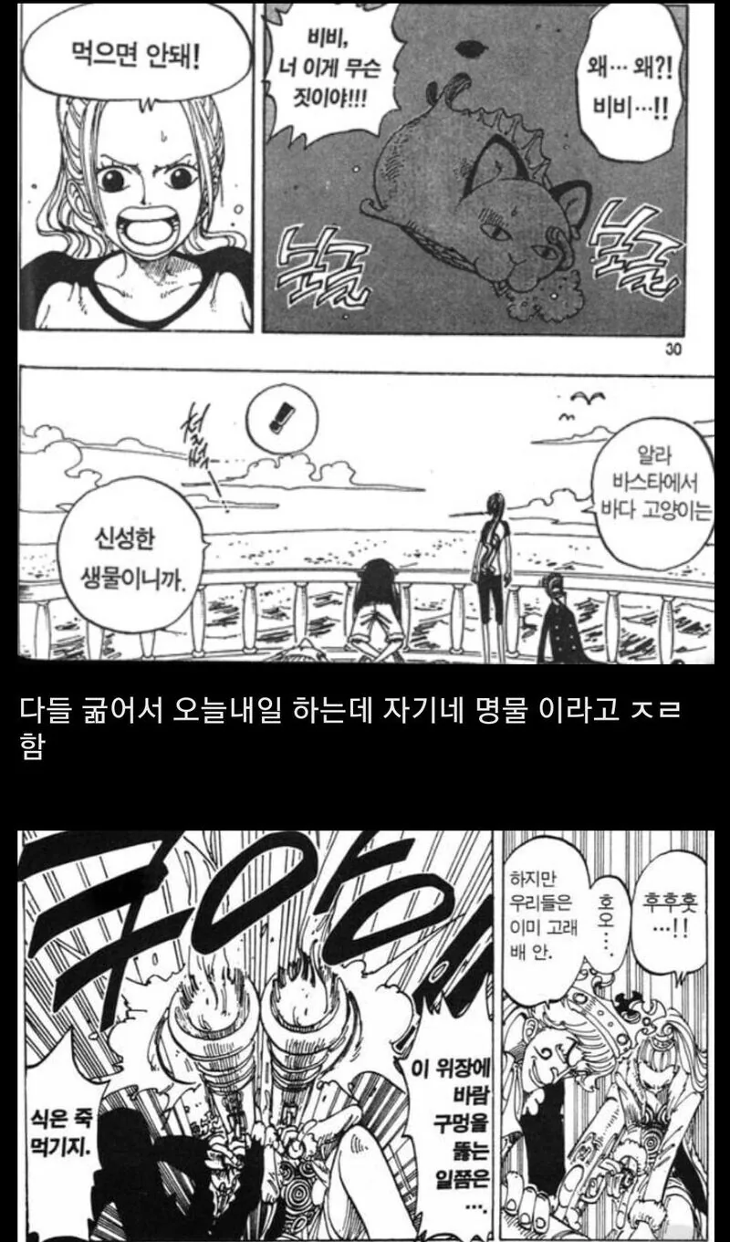 원피스) 졸렬갑