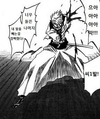 블리치) 그림죠가 심각하게 멍청했다면.manga - 이미지 7