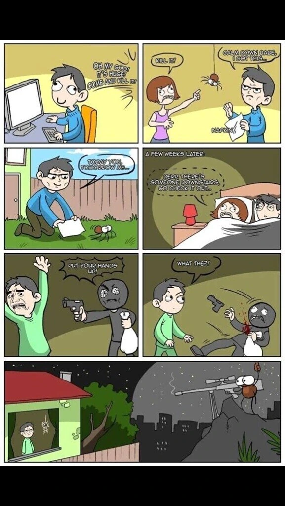 집에 들어온 거미 구해주는 만화