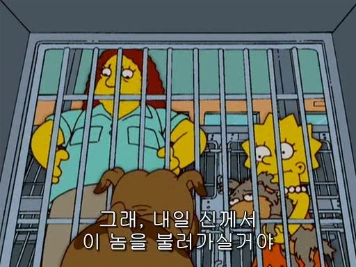 유기동물 보호센터 직원의 어두운 비밀 - 이미지 3