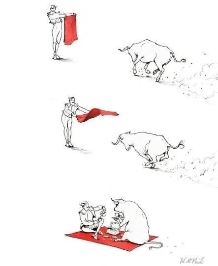대단한 투우사라구요