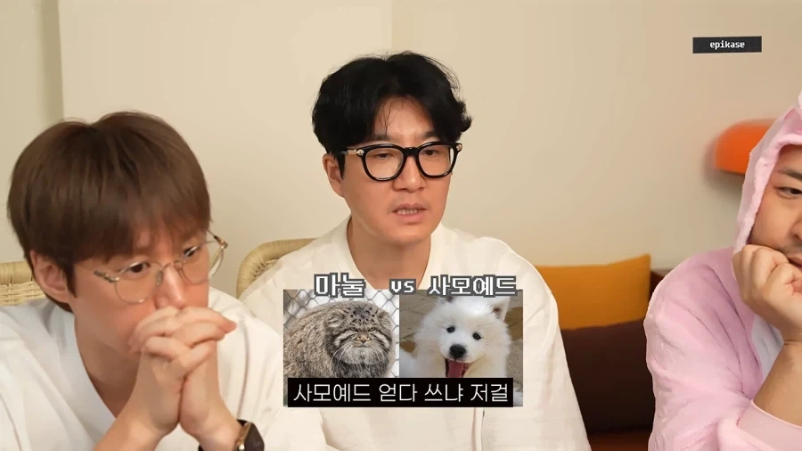 투컷이 욕먹은 이유