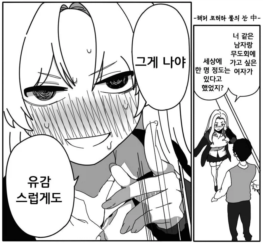 -해리포터와 불의 잔 中-