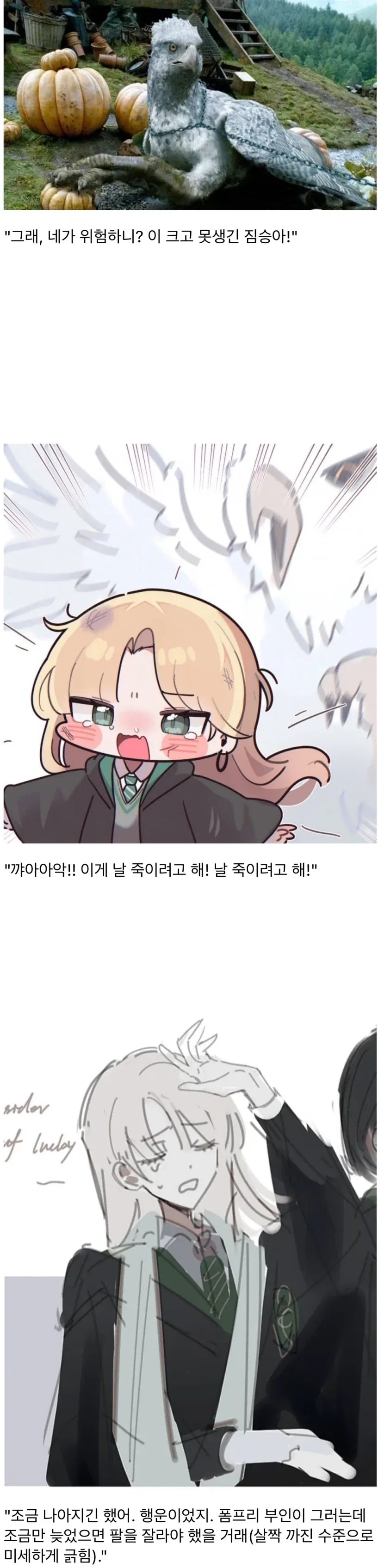 히포그리프 수업에 참석한 말포이
