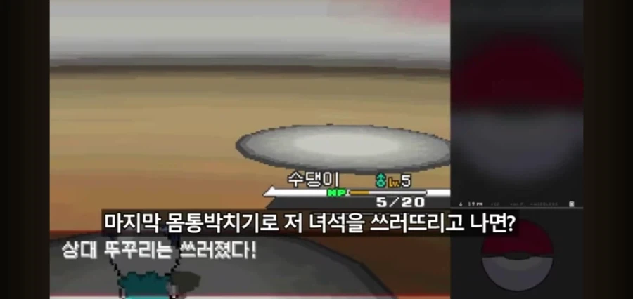 포켓몬스터를 레벨업 없이 깨보겠다는 유투버 - 이미지 2