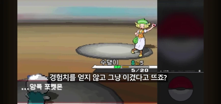 포켓몬스터를 레벨업 없이 깨보겠다는 유투버 - 이미지 3