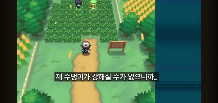 포켓몬스터를 레벨업 없이 깨보겠다는 유투버 - 이미지 6