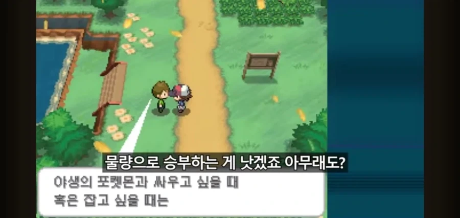 포켓몬스터를 레벨업 없이 깨보겠다는 유투버 - 이미지 7