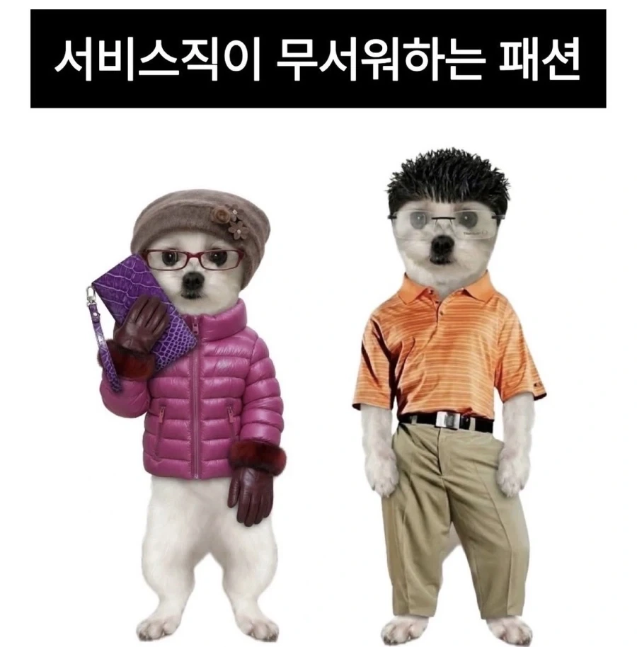 서비스직이 좋아죽는 패션