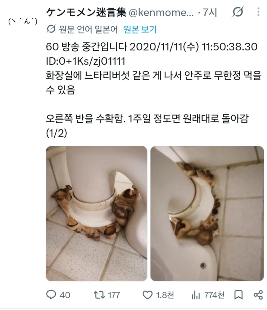 신개념 도시 농업
