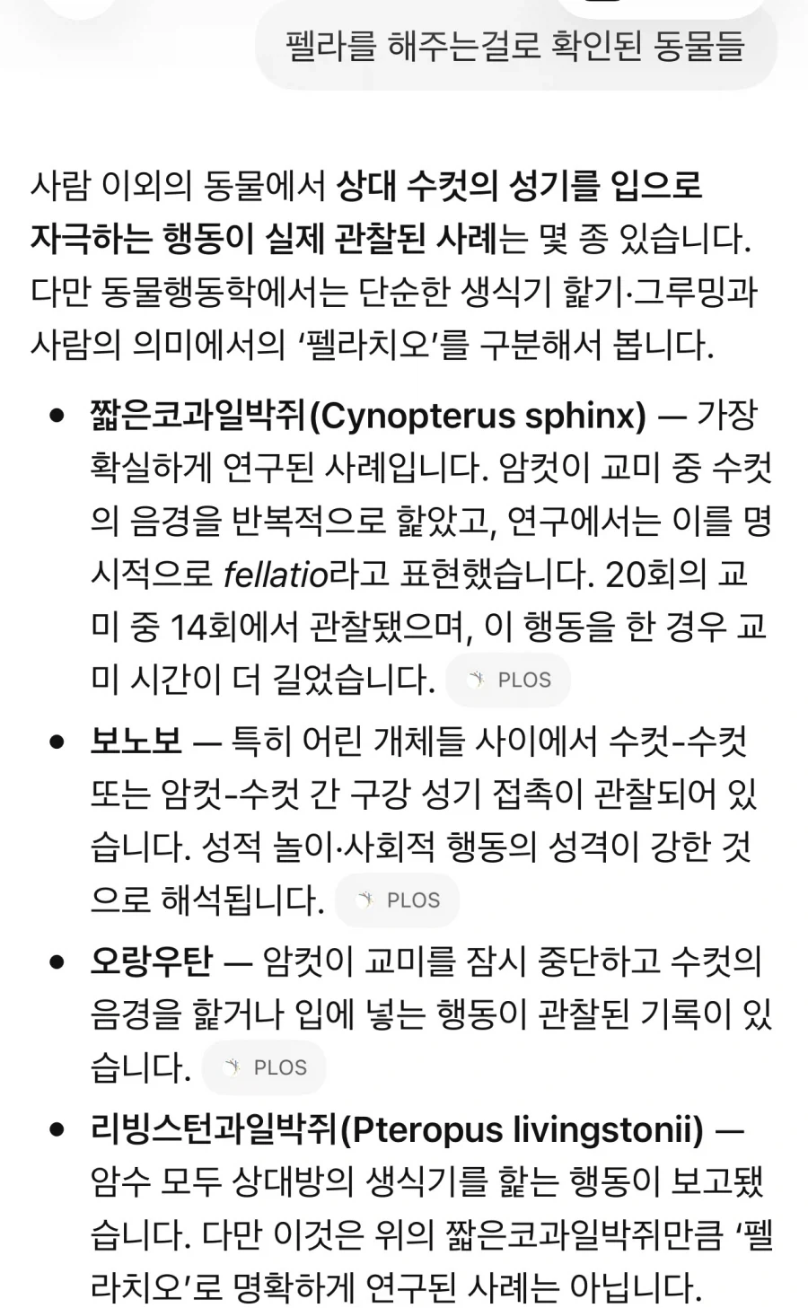 챗지피티의 유용성