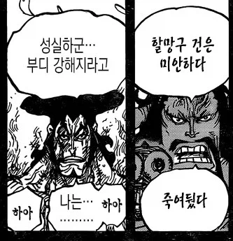 원피스에 나왔던 총들 중 가장 강력한 총