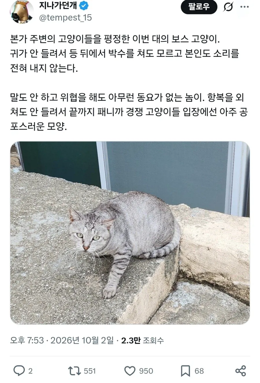 고양이들 : 으아악 미1친놈이다