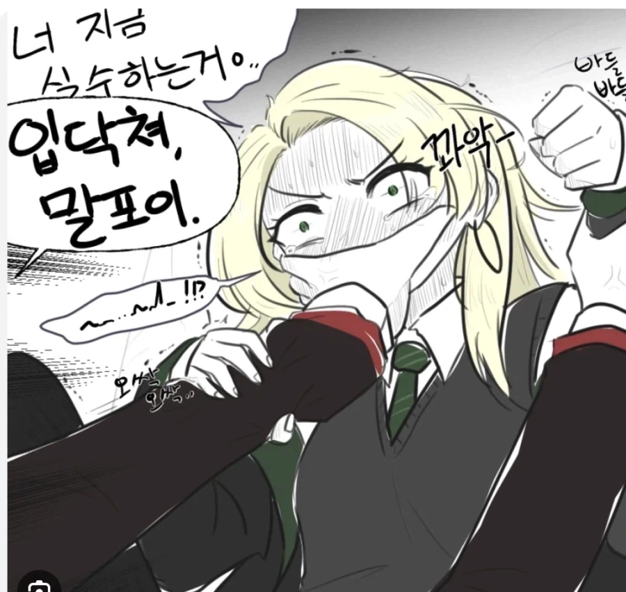 사람들이 생각하는 해리와 ts말포이 - 이미지 2
