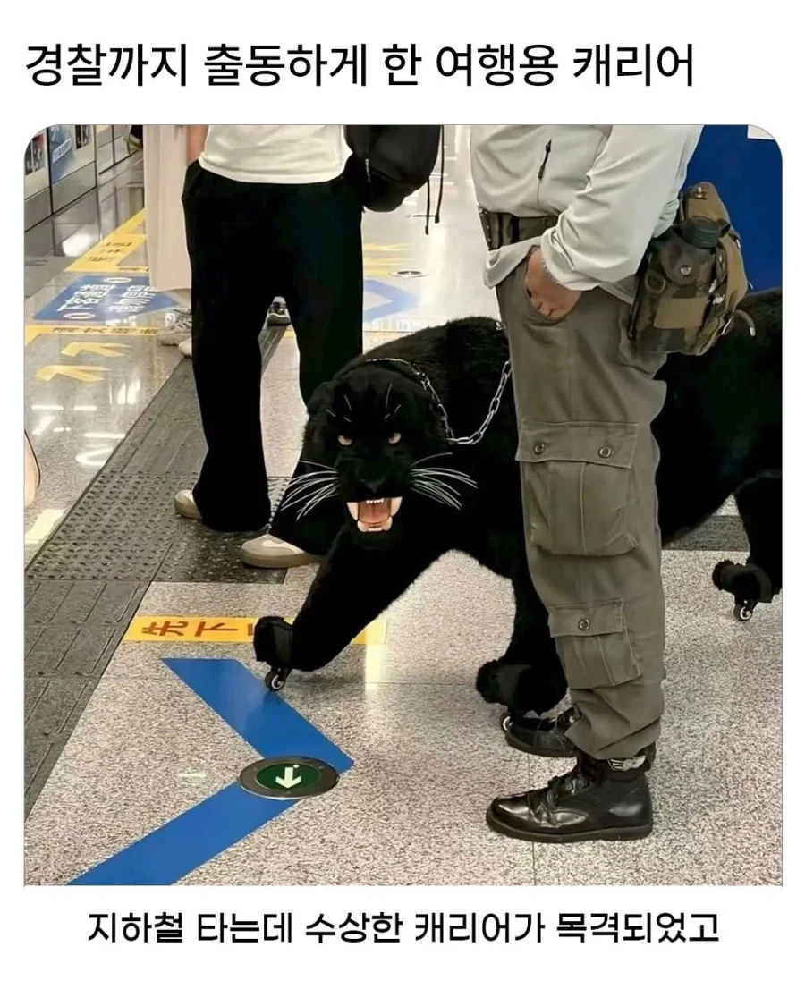 경찰까지 출동한 여행용 캐리어