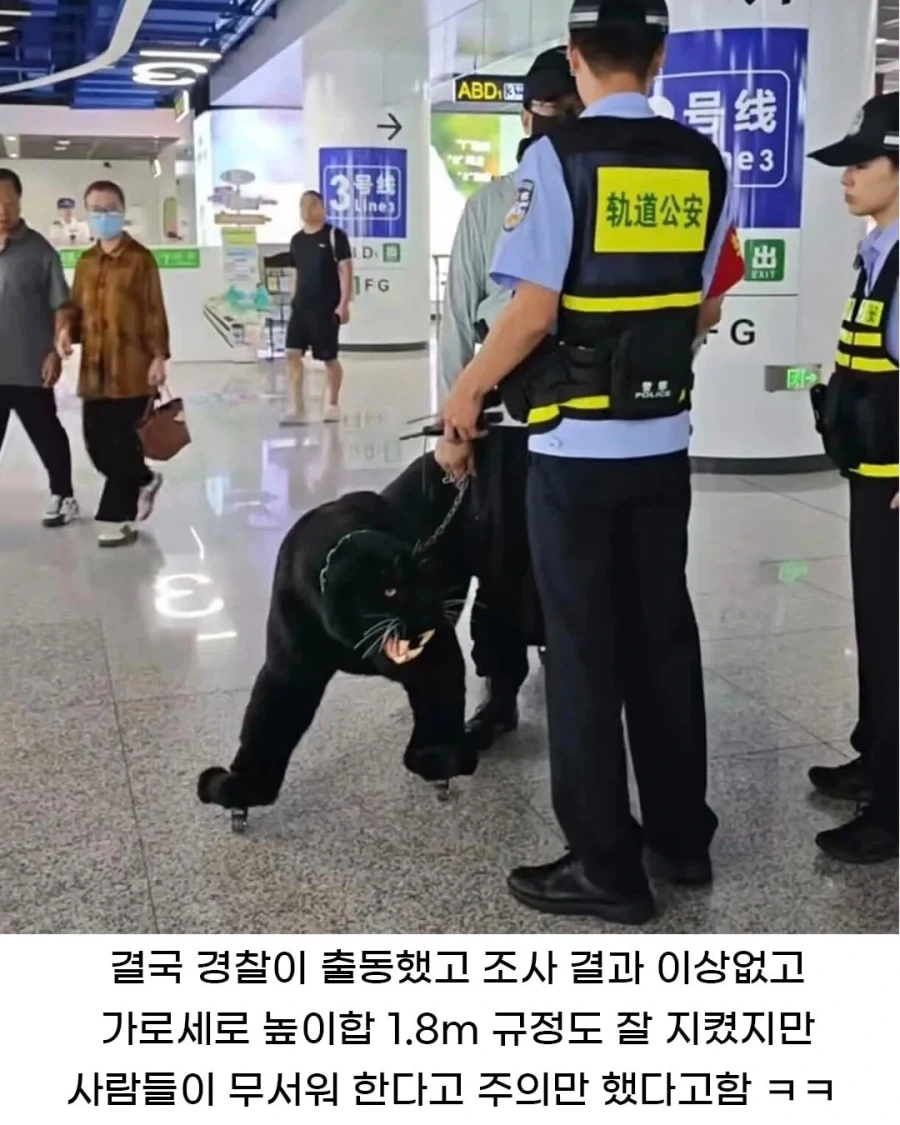경찰까지 출동한 여행용 캐리어 - 이미지 2