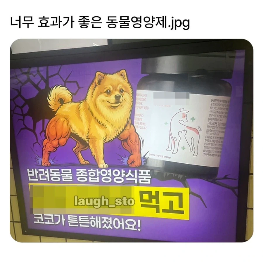 효과가 너무 좋은 동물 영양제