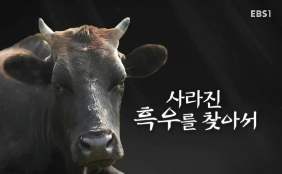 여친이 미국 여군인데 - 이미지 2