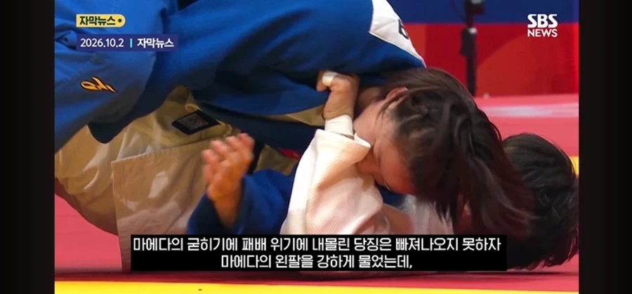 나고야)사람 무는 ㄱㅅㄲ를 키우는 나라 - 이미지 3