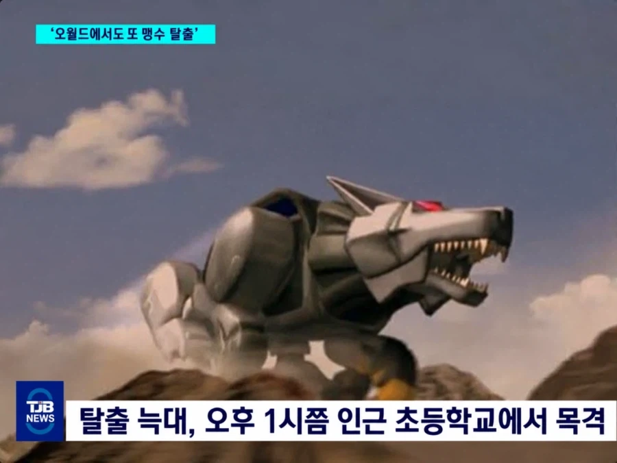 한국의 동물 탈출 소동 - 이미지 3