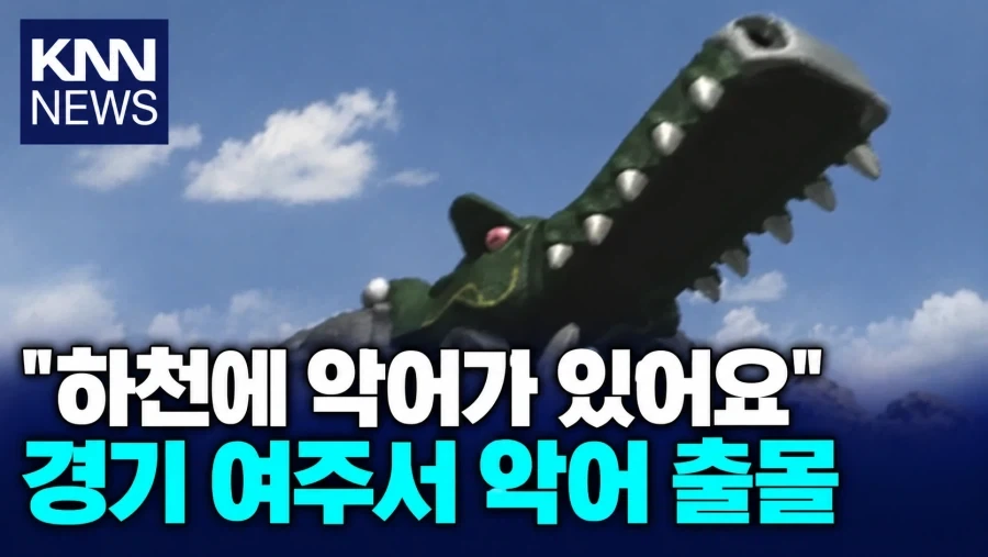 한국의 동물 탈출 소동 - 이미지 4