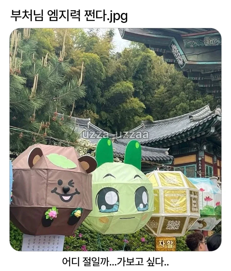 부처님의 MZ력