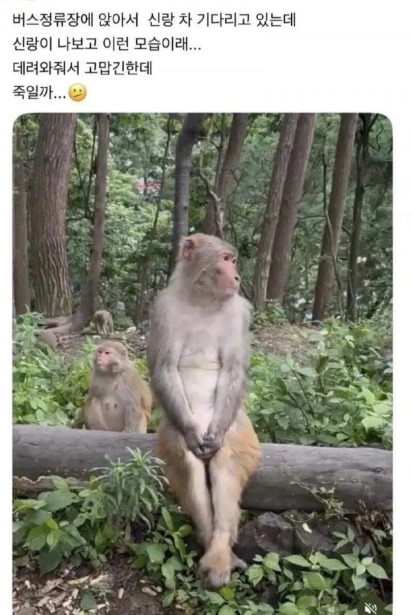 남편 죽일까