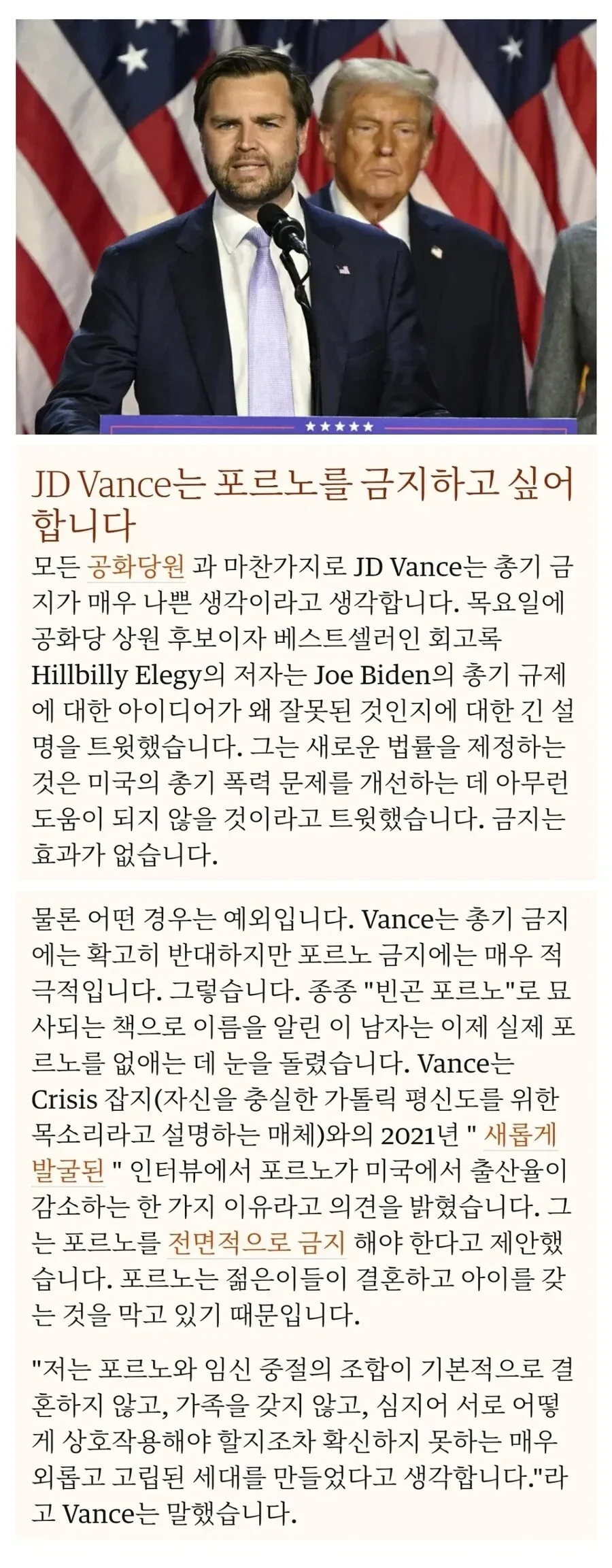 미국 부통령 밴스 "성인물 전면적으로 금지해야"