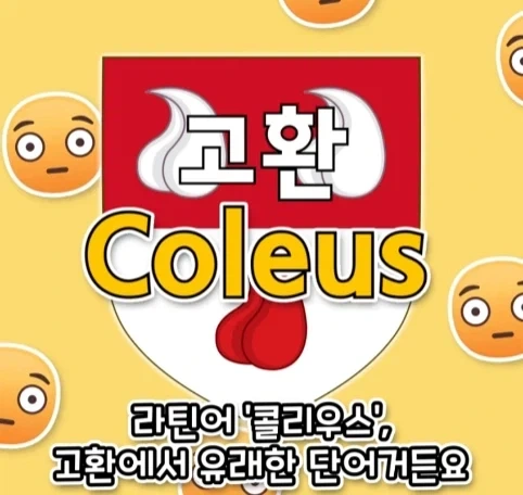 가문 시조의 취향 때문에 고통 받는 후손들.jpg - 이미지 20