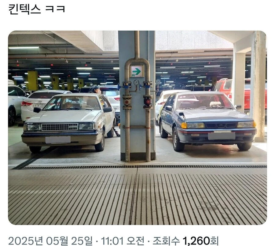 부장님! 신입이 각그랜저 몰고왔습니다!!