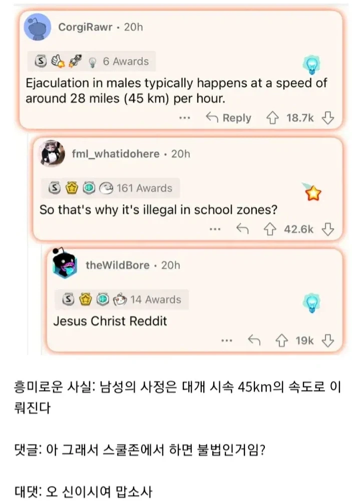 스쿨존에서 하면 불법인것