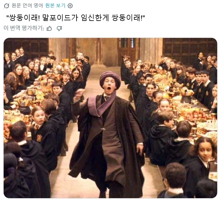 말포이 TS짤에 자주 보이는 덤블도어 - 이미지 4