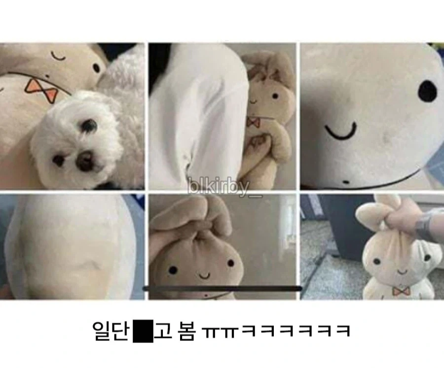 짱구에 나오는 유리 토끼인형 구매 후기 - 이미지 3