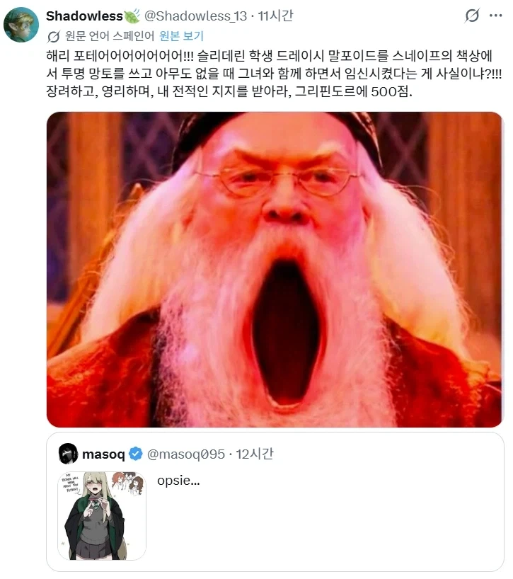 해리포터) 이 밈 어디까지 퍼지는 건데 ㅋㅋㅋㅋㅋ