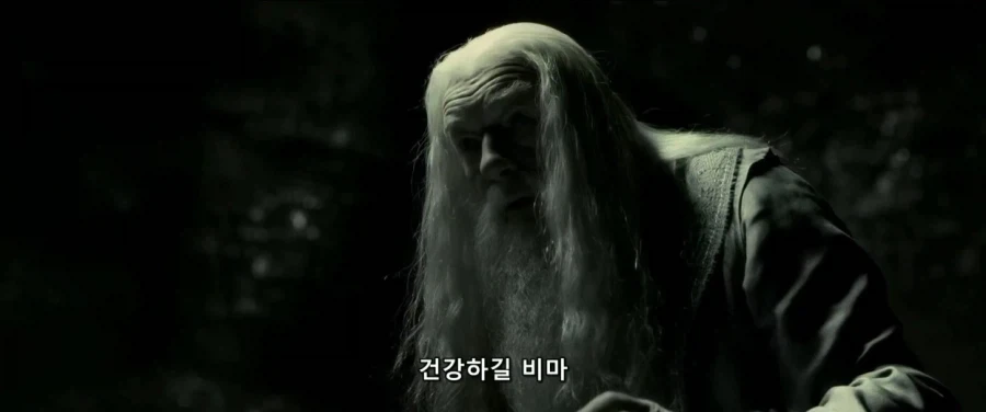 덤블도어:지금부터 난 ts물약을 마실거란다 네가 도와다오 해리 - 이미지 11