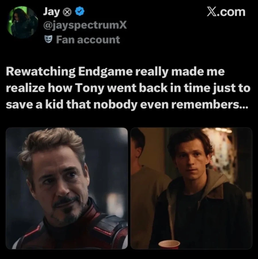 MCU) 엔드게임 앵코어 보고 토니의 영웅 자지ㄹ을 다시 봤다는 어느 팬