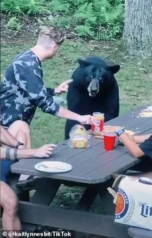 캠핑에 지멋대로 합류한 불청객 후기.jpg