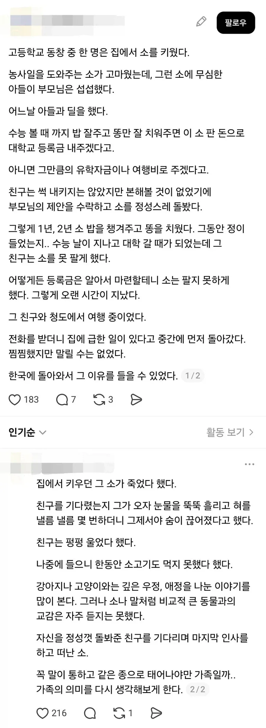 집에서 소를 키우던 동창.