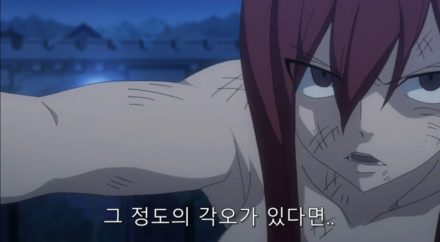 페어리 테일 명장면 - 이미지 17